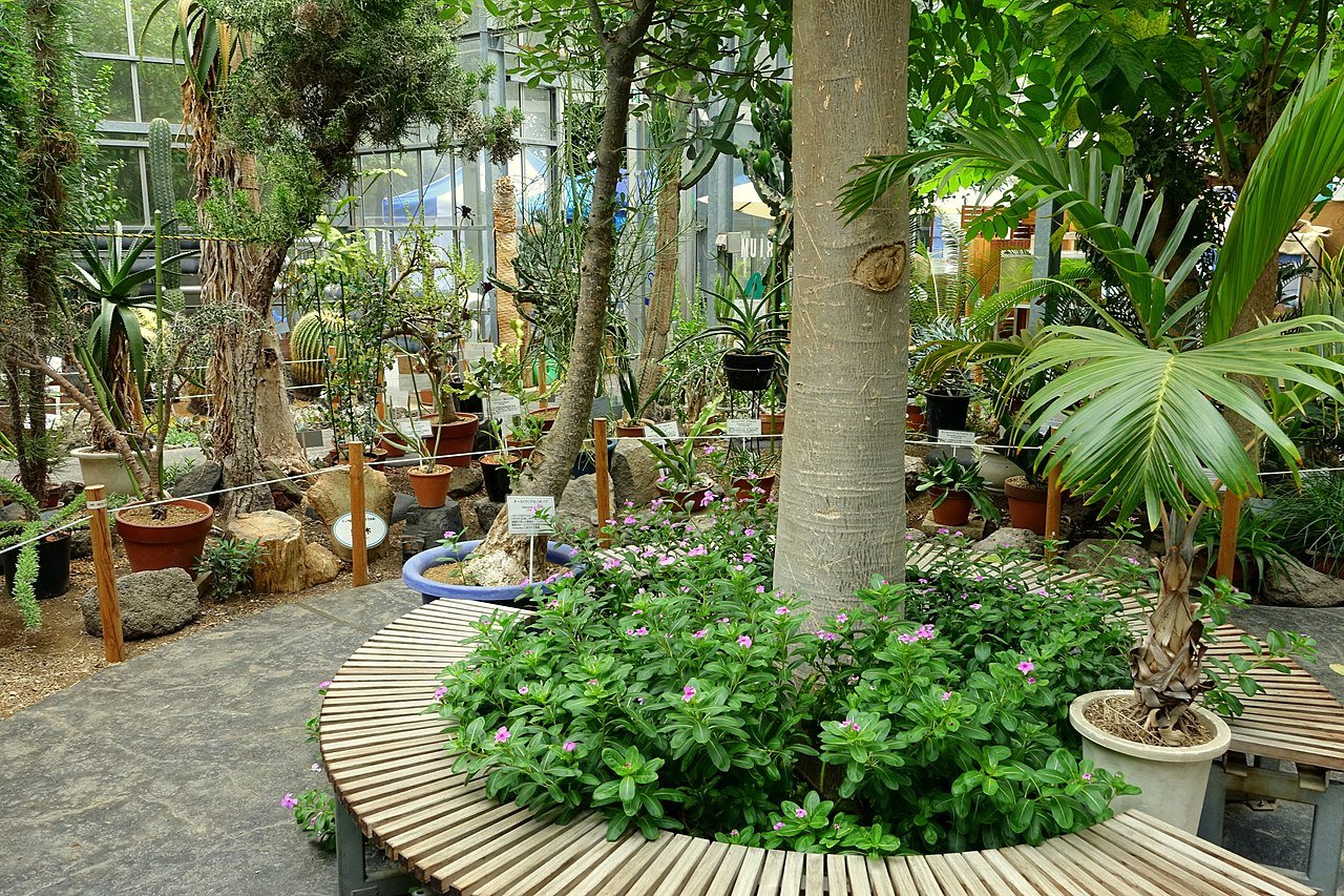 🏛️ 식과 농 박물관(도쿄노교다이가쿠 쇼쿠토노노하쿠부쓰칸) 이미지 6